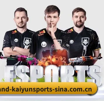 开云体育 APP(KAIYUN SPORTS)